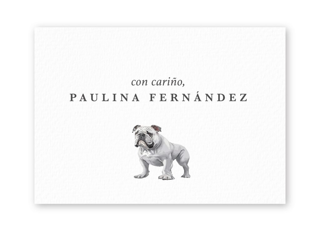 Tarjetas English Bulldog