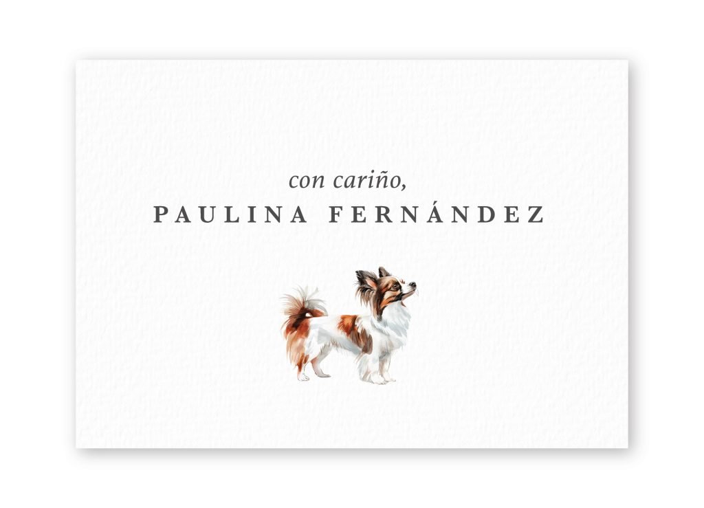 Tarjetas Papillo