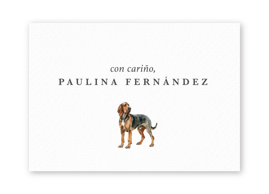 Tarjetas Bloodhound transparent