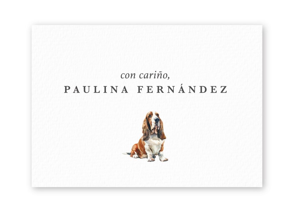 Tarjetas Basset Hound