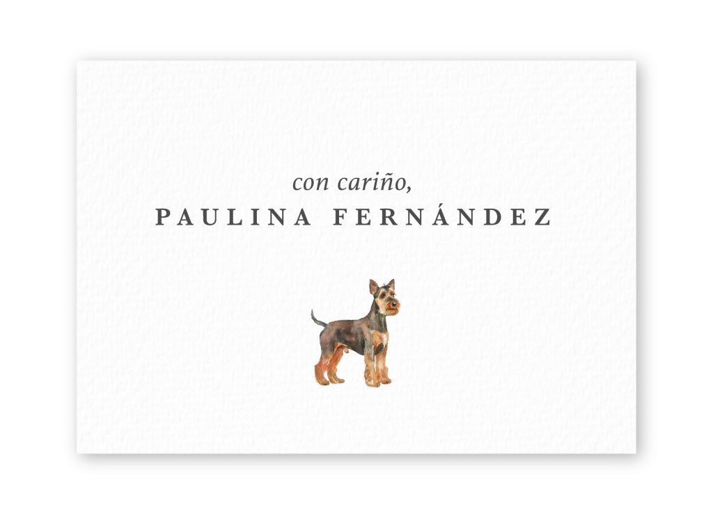 Tarjetas Welsh Terrier