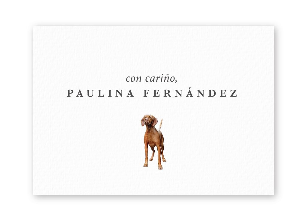 Tarjetas Vizsla