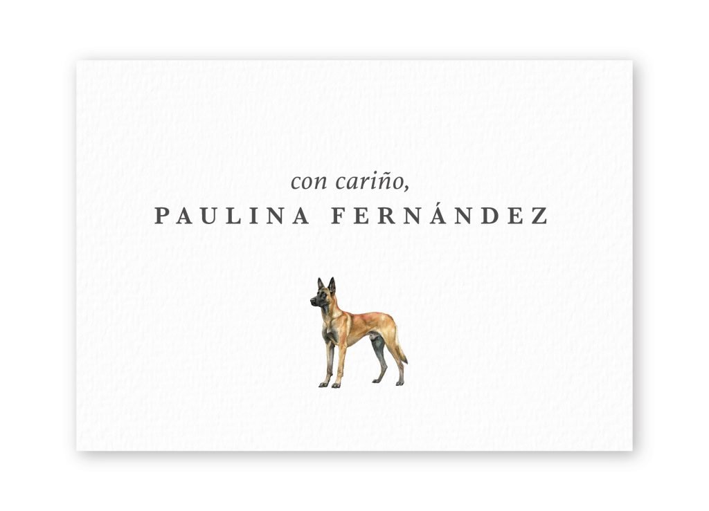 Tarjetas Belgian Malinois