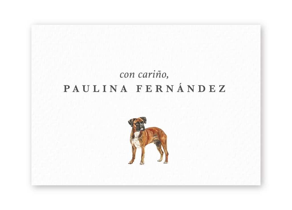 Tarjetas Boxer