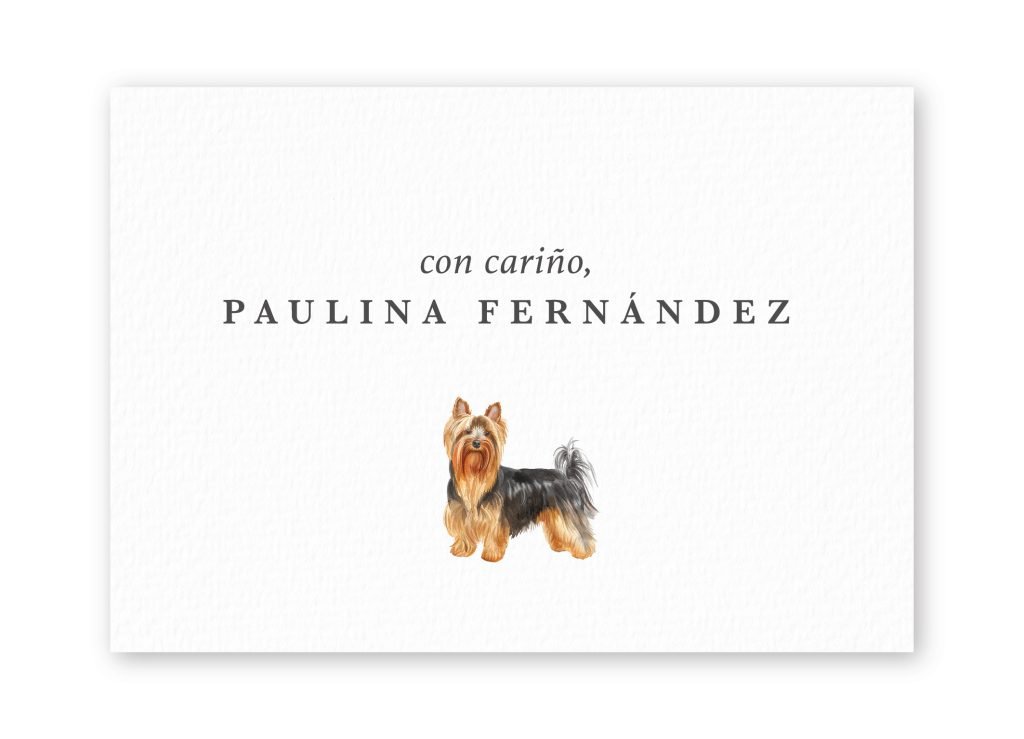 Tarjetas Yorkshire Terrier