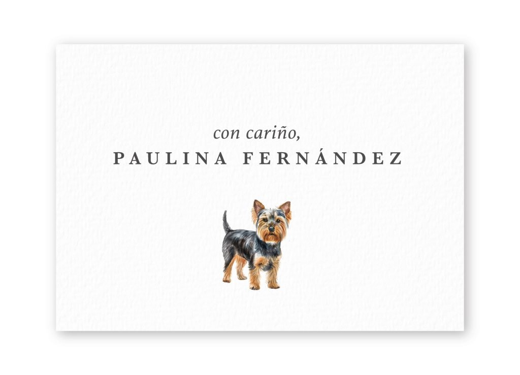 Tarjetas Yorkshire Terrier