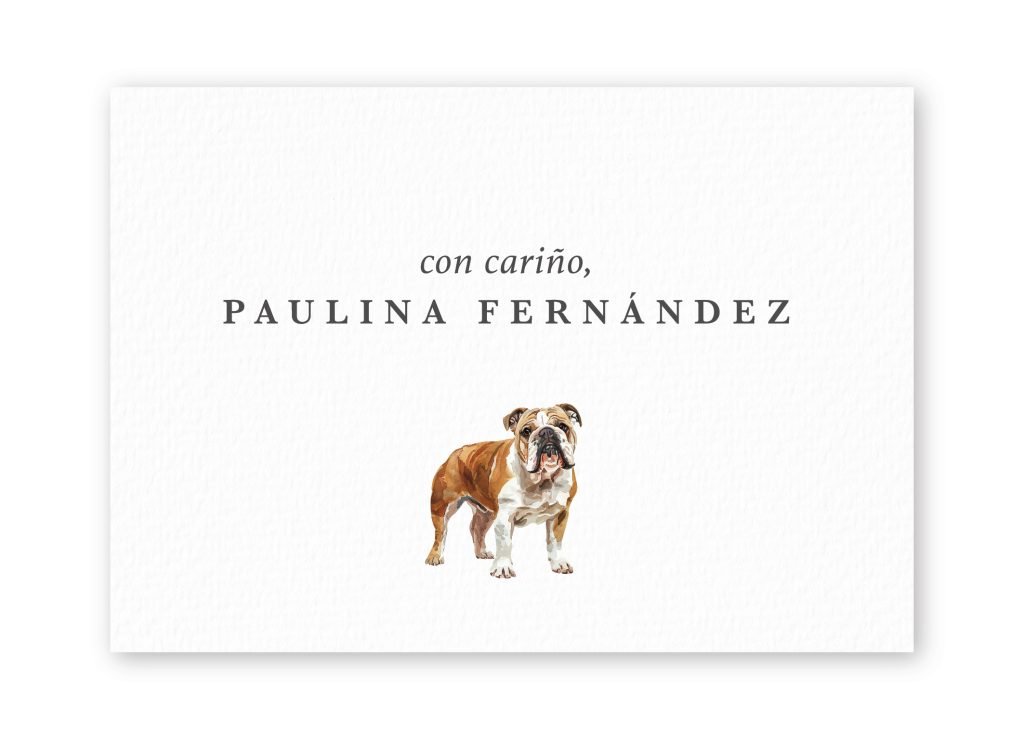 Tarjetas English Bulldog