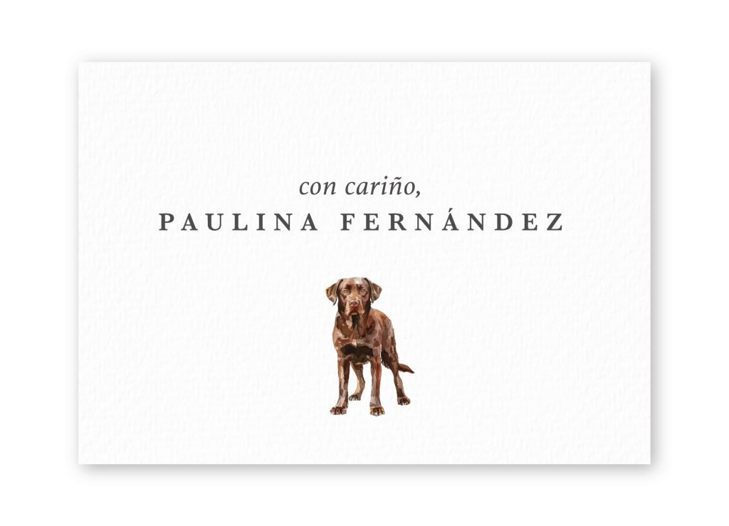 Tarjetas Labrador Retriever
