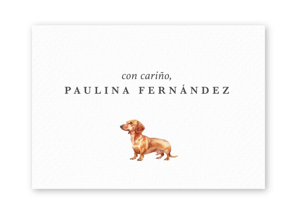 Tarjetas Dachshund