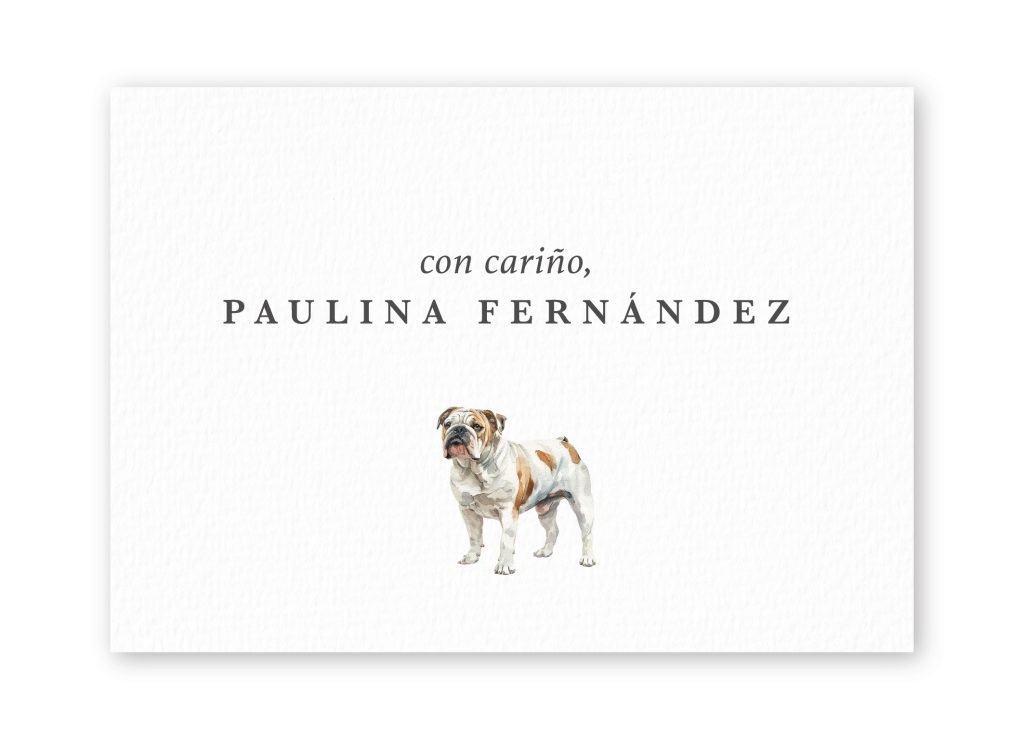 Tarjetas English Bulldog