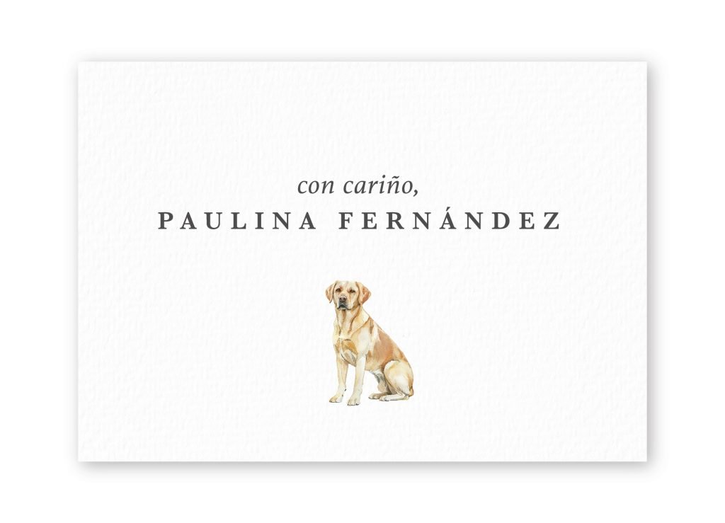 Tarjetas Labrador Retriever