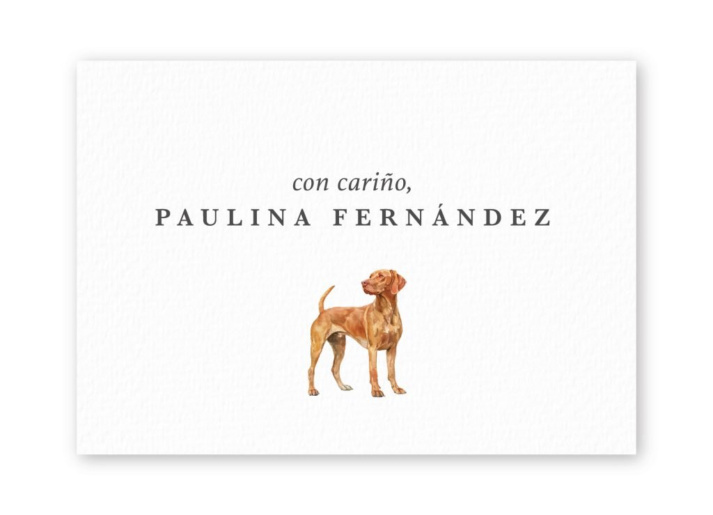 Tarjetas Vizsla