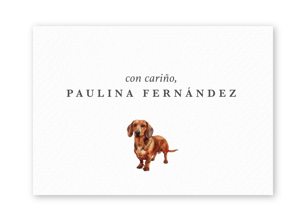 Tarjetas Dachshund