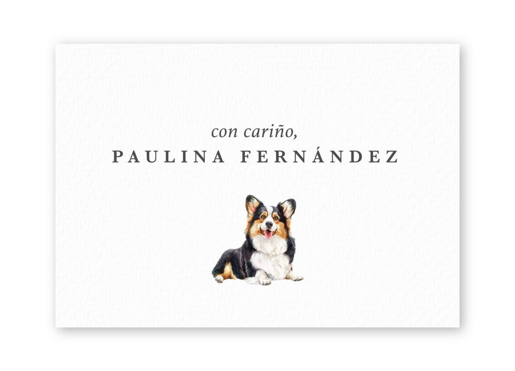 Tarjetas Corgi