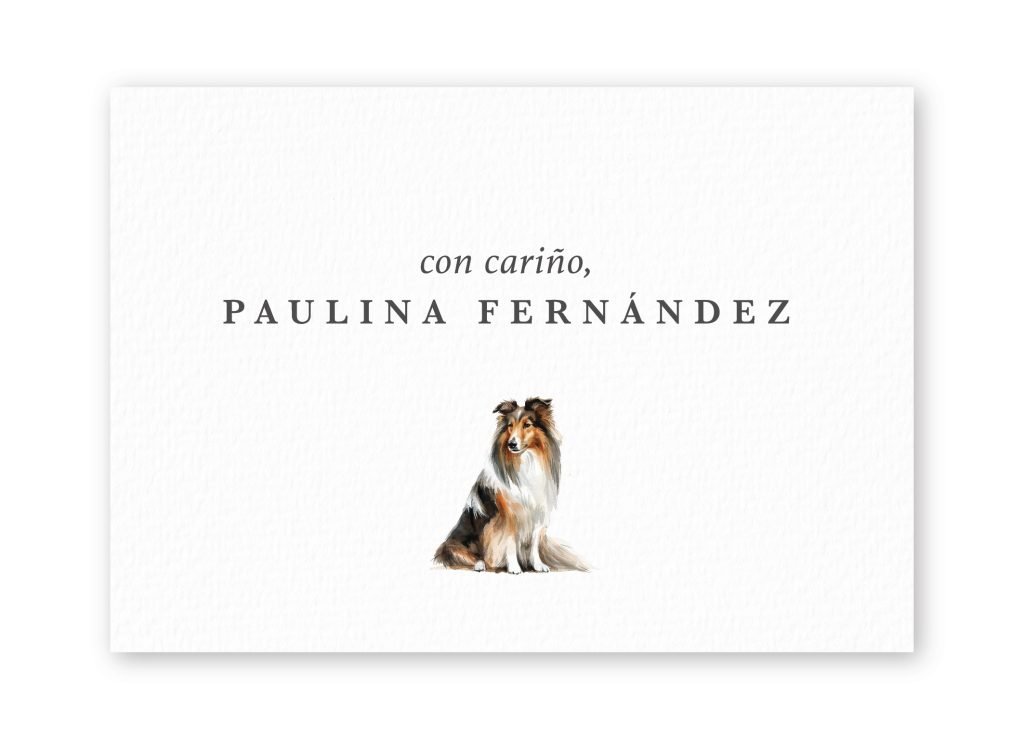 Tarjetas Collie