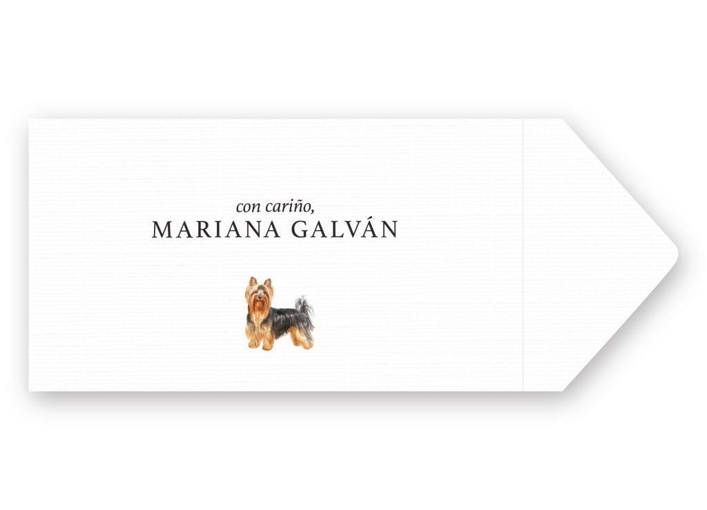 Sobres Yorkshire Terrier