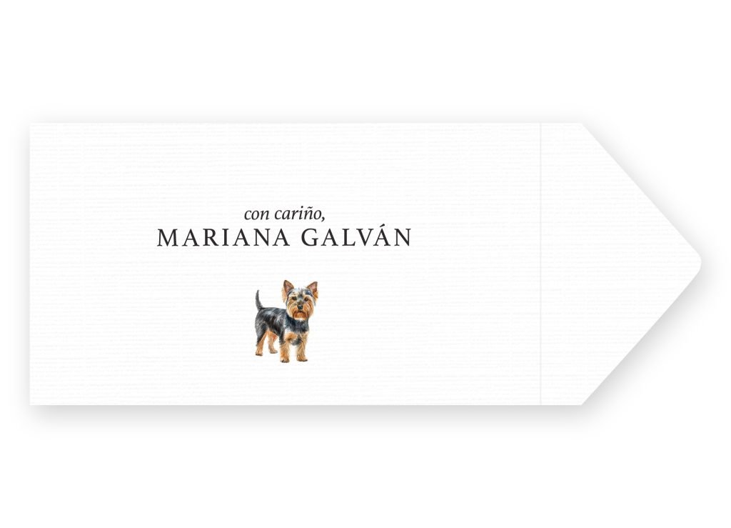 Sobres Yorkshire Terrier