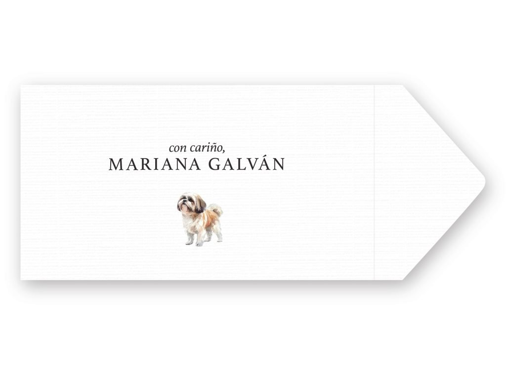 Sobres Shih Tzu