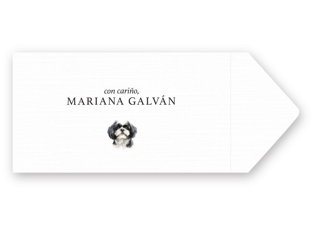 Sobres Shih Tzu