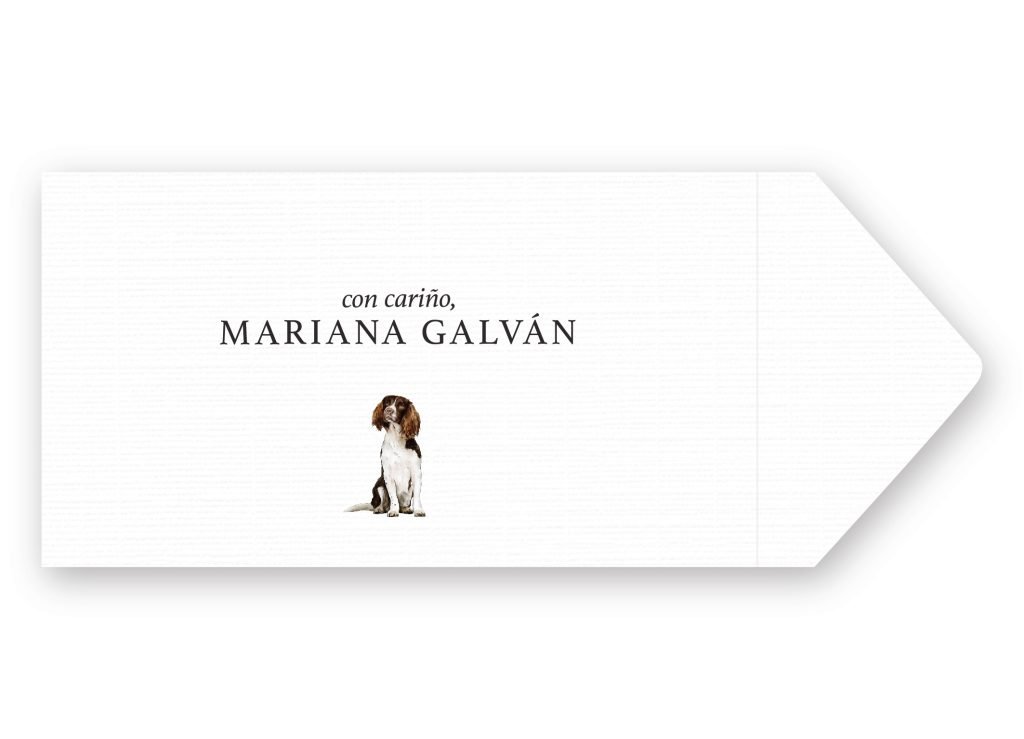 Sobres English-Springer-Spaniel