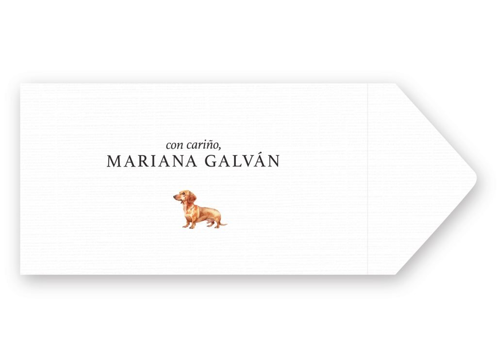 Sobres Dachshund