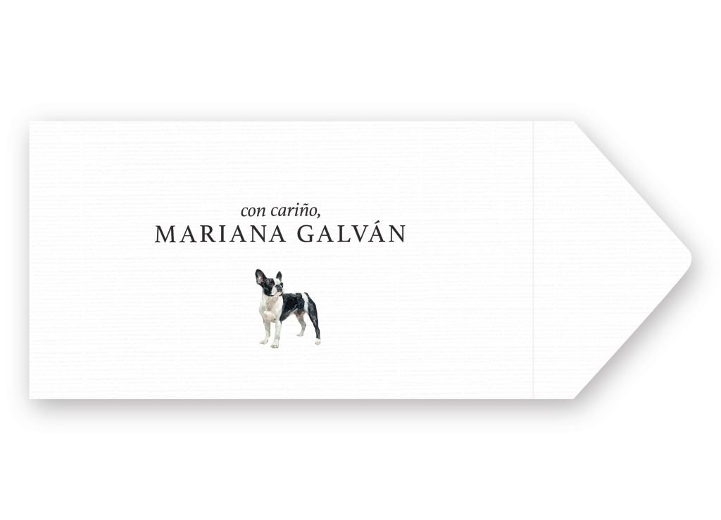 Sobres Boston Terrier